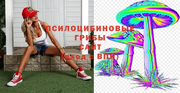 MDMA Premium VHQ Белокуриха