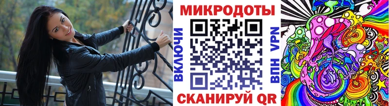 где продают наркотики Ершов Псилоцибиновые грибы Cubensis